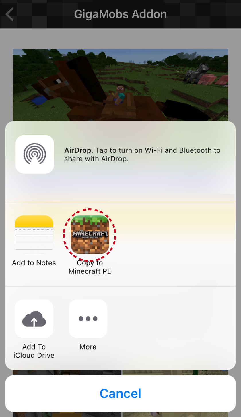 Copy to Minecraft